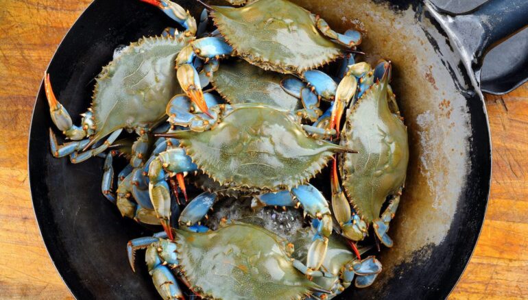 COME SI CUCINA IL Granchio Blu? da minaccia NAZIONALE alle tavole ITALIANE