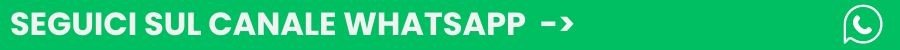 spot_img