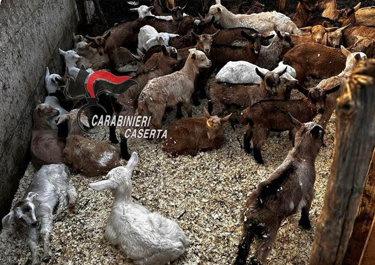 villa literno caprini