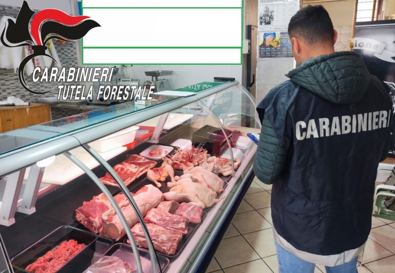Casaluce, macelleria con carne non tracciata: scatta il sequestro