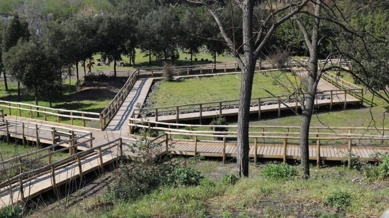 Esperienza inclusiva nella natura a Terzigno: camminata lungo il sentiero La Pineta
