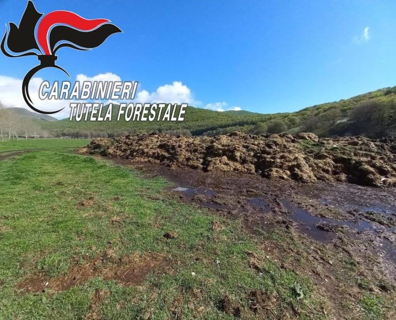 Caserta, scarico abusivo e cumulo di letame a Castello del Matese