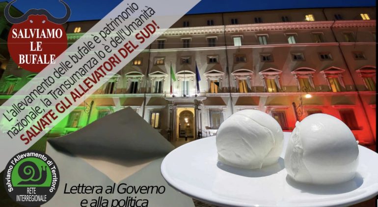 Quarto giorno di sciopero della fame: gli allevatori inviano mozzarelle di bufala a governo, parlamento e partiti