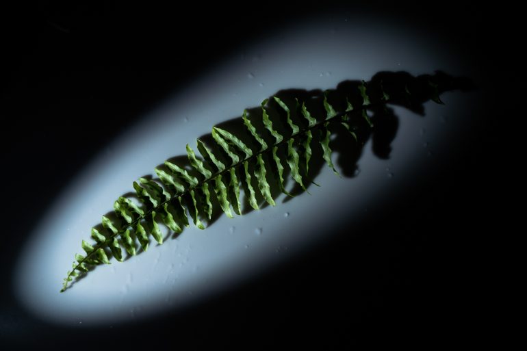 Mostra Fotografica “IN-ANIMA” di Sabrina Cirillo alla Fondazione Banco di Napoli