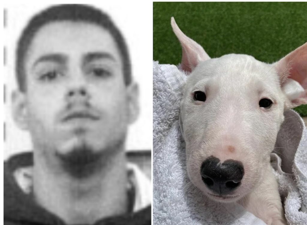 Il boss Francesco Abbinante tradito dall’amore del suo Bull Terrier