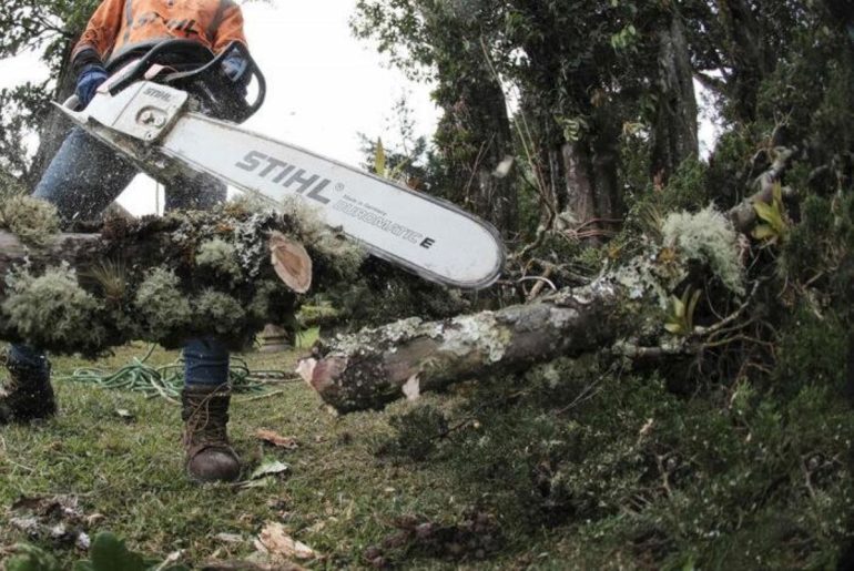 Sciopero Generale dei lavoratori forestali in Campania