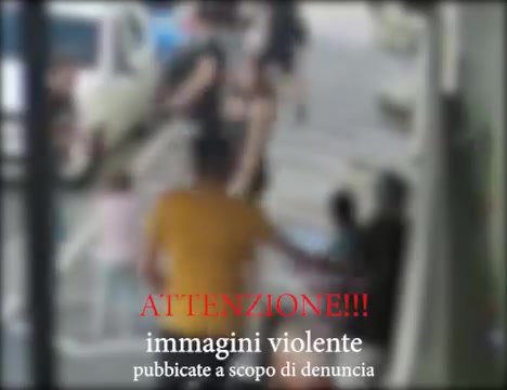 falciano del massico denunciati