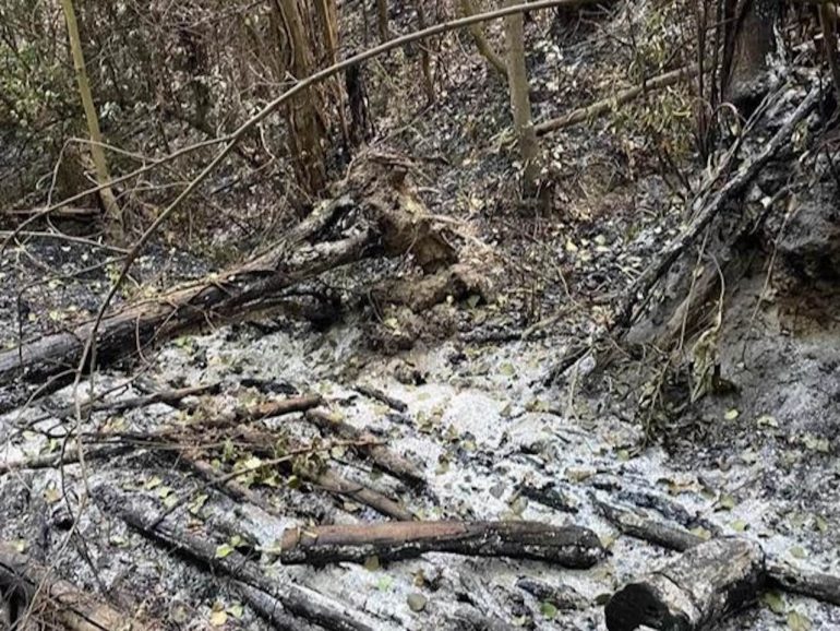 Incendio ai Camaldoli: la collina cosparsa di cenere