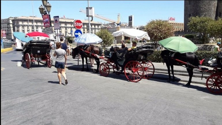carrozzelle cavalli napoli
