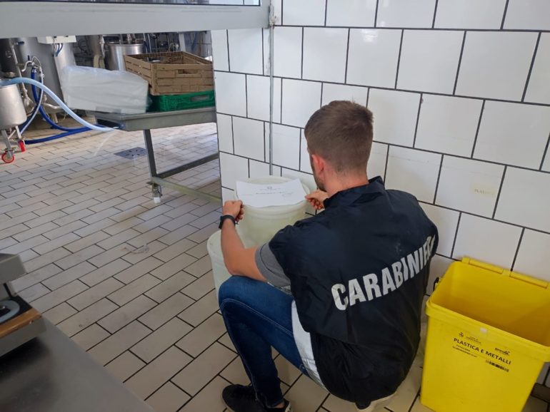 Marcianise, sequestrata mozzarella di bufala taroccata in un caseificio