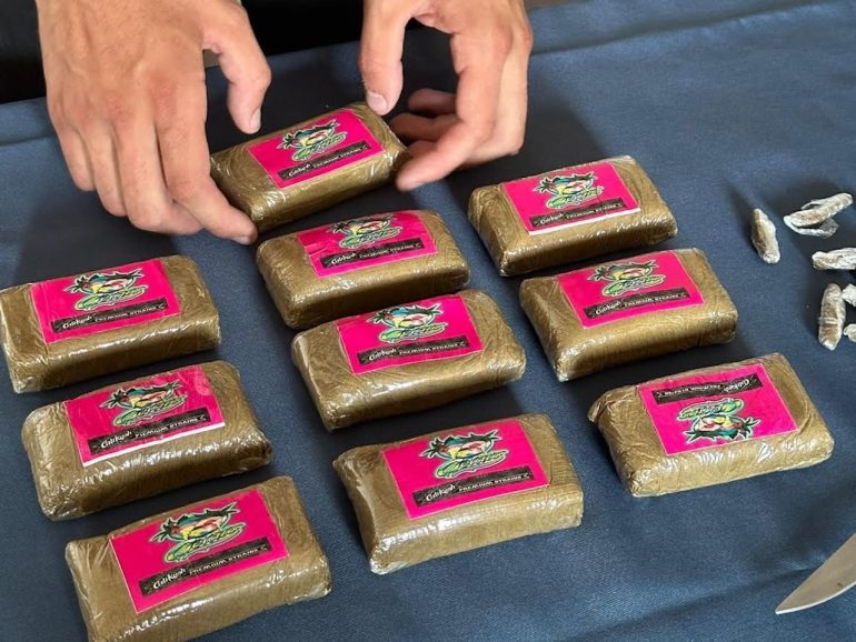 Torre del Greco, pescheria trasformata in un deposito di droga: arrestati due fratelli