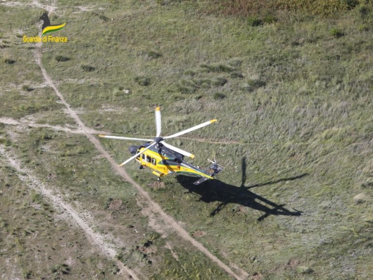 Mondragone, sequestrate due piantagioni di marijuana: tre arresti