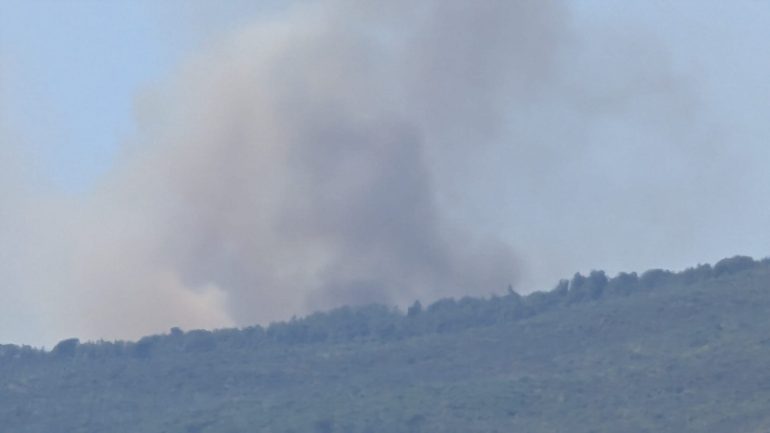 Incendio sul Monte Partenio: cinque ettari di bosco distrutti. Ipotesi origine dolosa o colposa