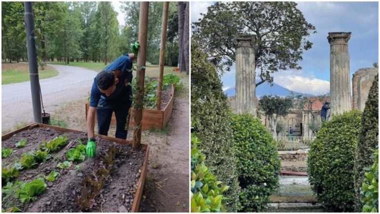 Il Parco Archeologico di Pompei vincitore del Premio Internazionale “CITY‘SCAPE Award 2024”