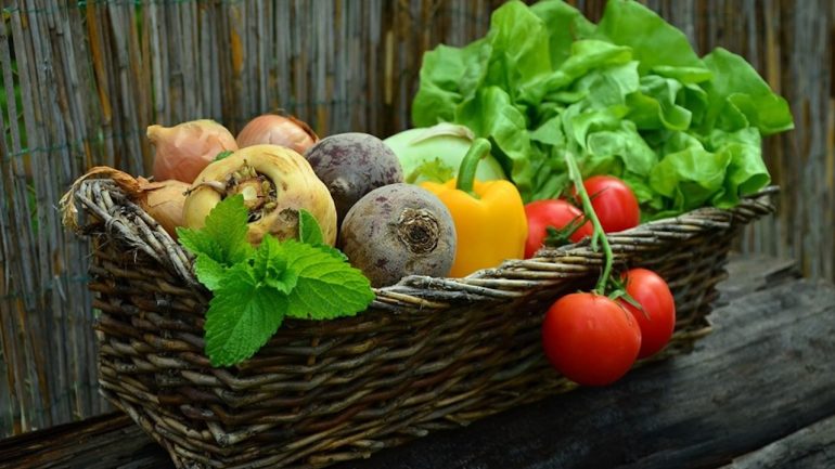 Scoprire l’Irpinia attraverso i suoi prodotti biologici: un’esperienza sensoriale unica