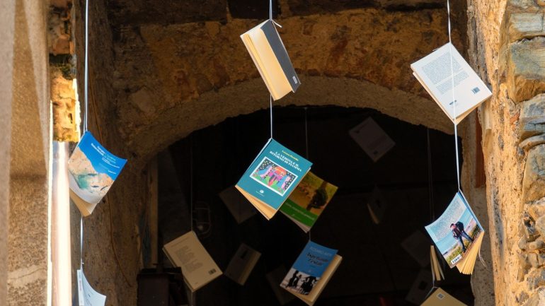 A Cardile si è conclusa la prima edizione dell’Alef Cilento Festival