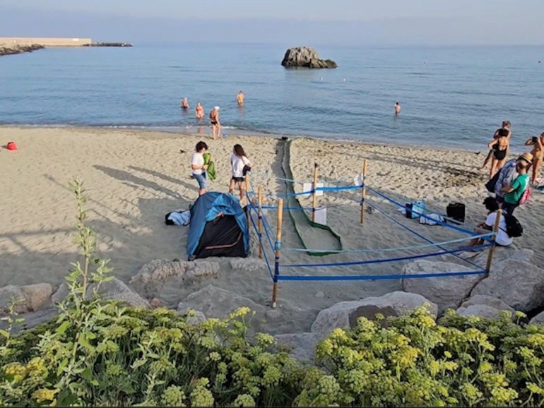 Campania lancia campagna per proteggere la tartaruga Caretta caretta: un appello a cittadini e turisti
