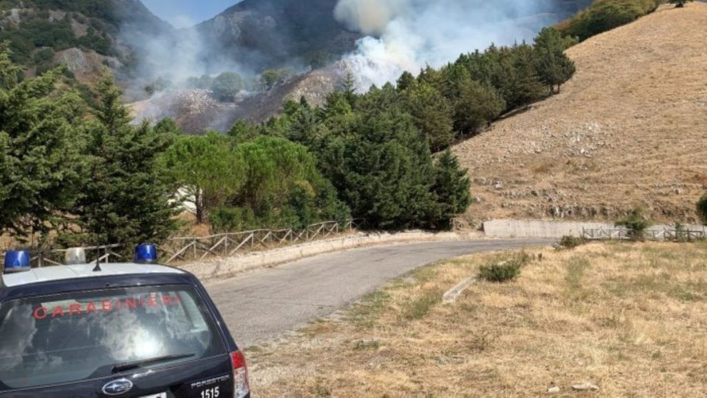 Incendi Salerno, 26enne arrestato dai forestali ad Atena Lucana