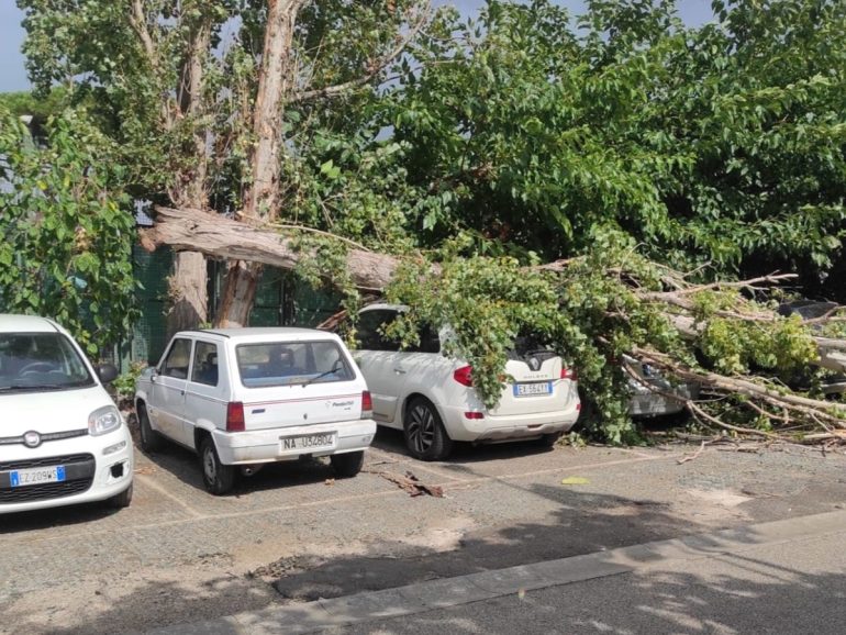 Paura a Torre del Greco: vento abbatte albero che cade e danneggia auto