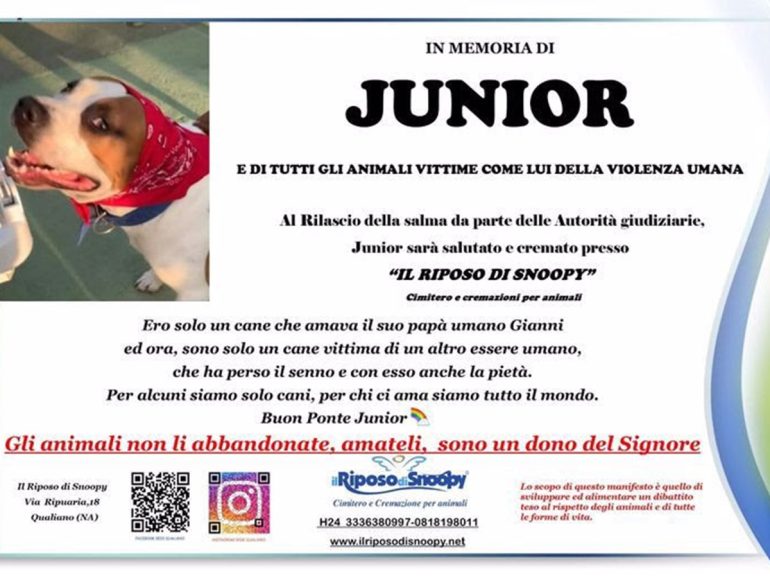 Orrore a Ischia: cane ucciso dopo essere stato bruciato vivo dalla sorella del proprietario