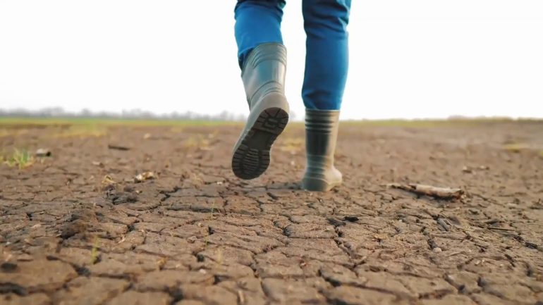 Siccità e frane minacciano la Campania: l’allarme del Centro Studi Cambiamenti Climatici di Ecogest