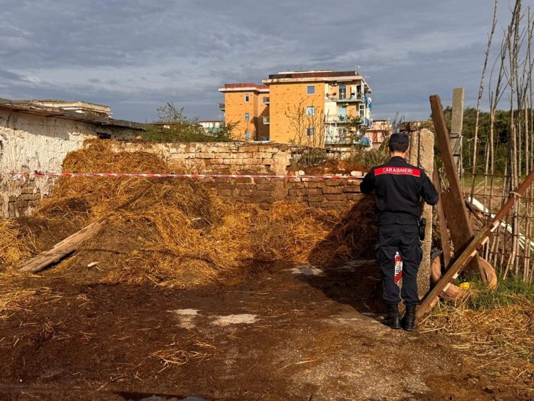 Ogliastro Cilento, sfruttava lavoratore senza permesso: arrestata titolare di maneggio