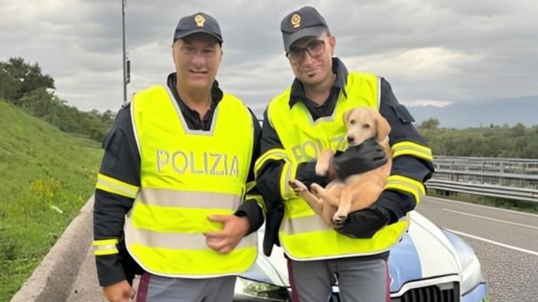 eboli, polizia stradale salva cucciolo