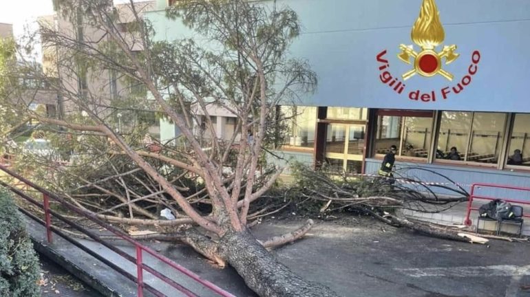 Salerno, cade un albero nel Campus di Fisciano: feriti 5 studenti, uno è grave