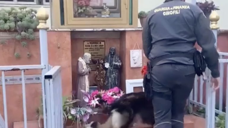 Casoria, recuperate 2 pistole, un fucile, munizioni e stupefacenti