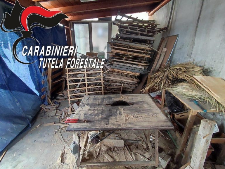 Panificio sequestrato: utilizzava pedane di legno nella cottura del pane