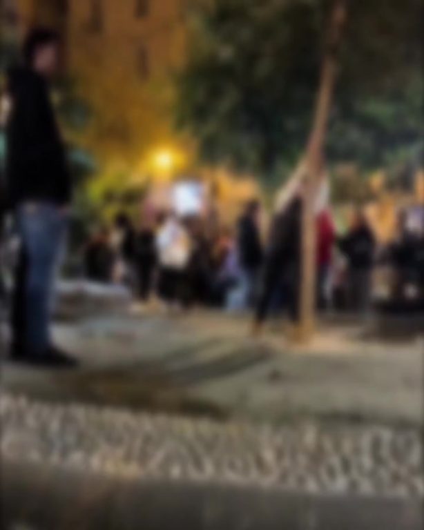 Napoli: ragazzino spezza in due un cedro libanese in Largo San Giovanni Maggiore, il video virale sui social