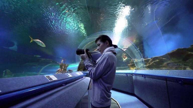Il turismo mondiale torna ai livelli pre-Covid