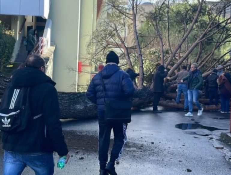 Fisciano, studente ferito dall’albero, gli amici denunciano: E’ calato il silenzio”