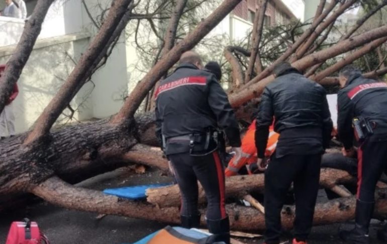 Crollo a Fisciano, inchiesta sulla mancata manutenzione degli alberi nel campus