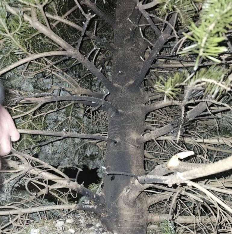 Castel Volturno, distrutto l’albero di Natale sul luogo della “Strage di San Gennaro”