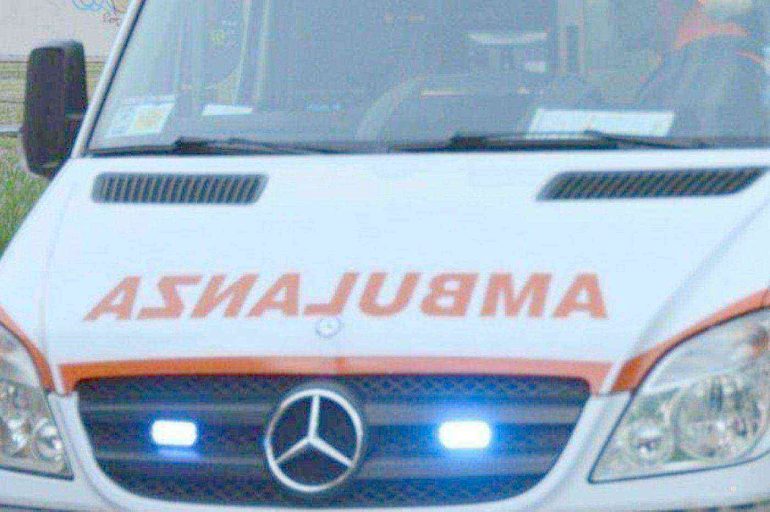 Travolto dall’albero che stava tagliando: muore a 82 anni nel suo fondo