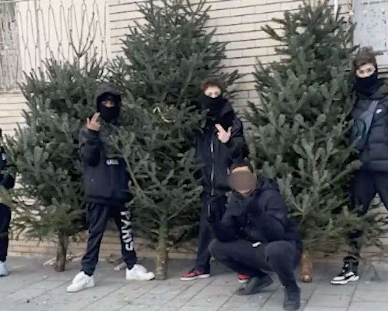 Napoli, boom di furti di alberi di Natale: le baby gang si sfidano sui social e si preparano al falò di Sant’Antonio