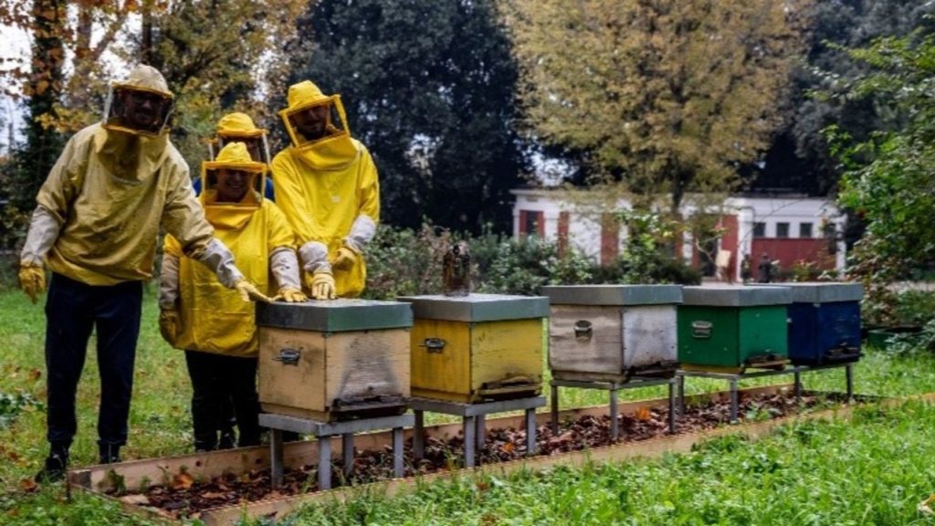 First Social Farm Opened in Pompeii in an Archaeological Site