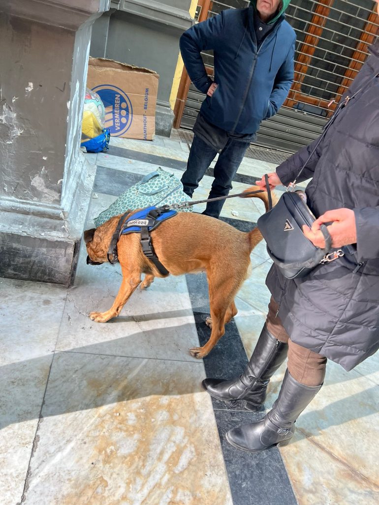 Malore in strada: salvati un senzatetto e il suo cane grazie all’intervento delle guardie zoofile Oipa di Napoli