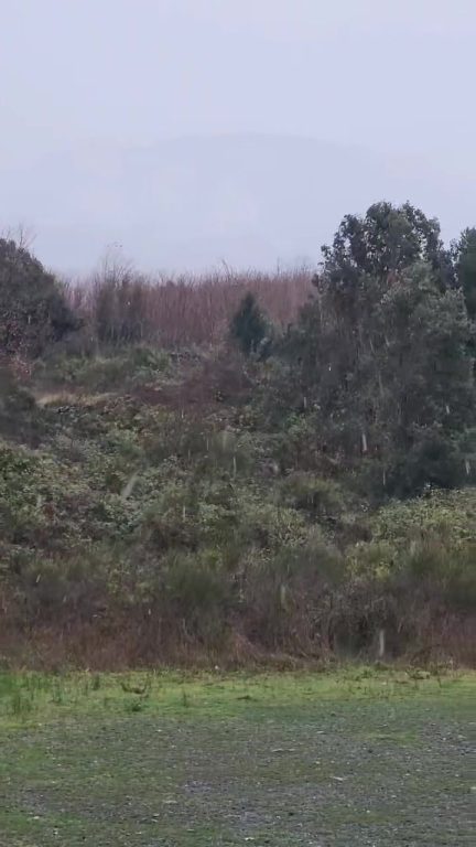Chiusa per neve strada che conduce al Vesuvio