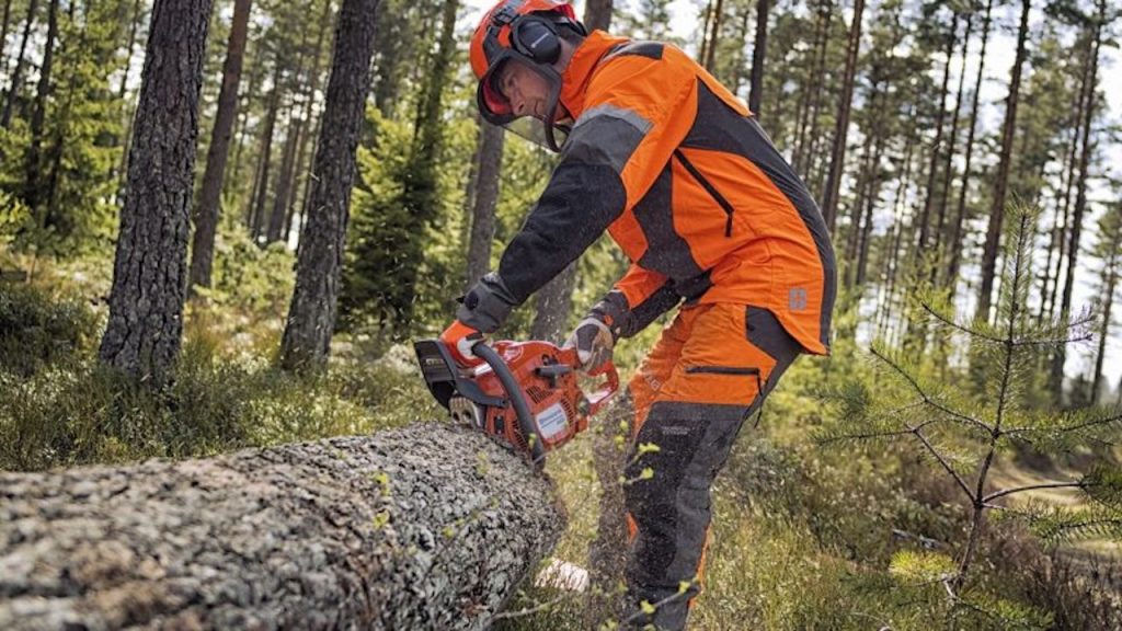 Stabilizzazione più vicina per precari comparto forestale