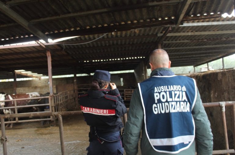 Capaccio Paestum, reati ambientali