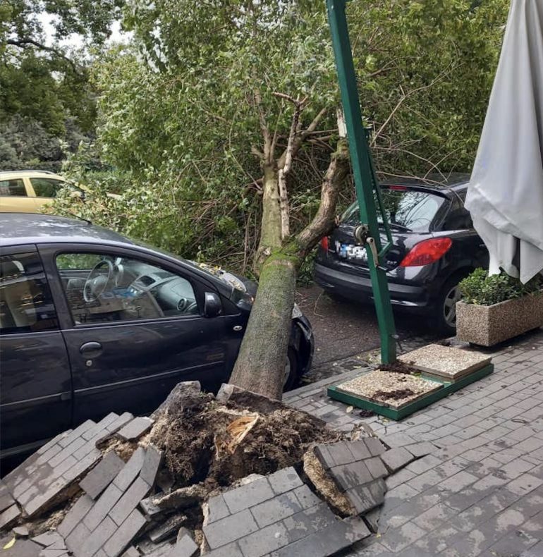 Napoli, albero crollato in via Ruoppolo: tragedia sfiorata