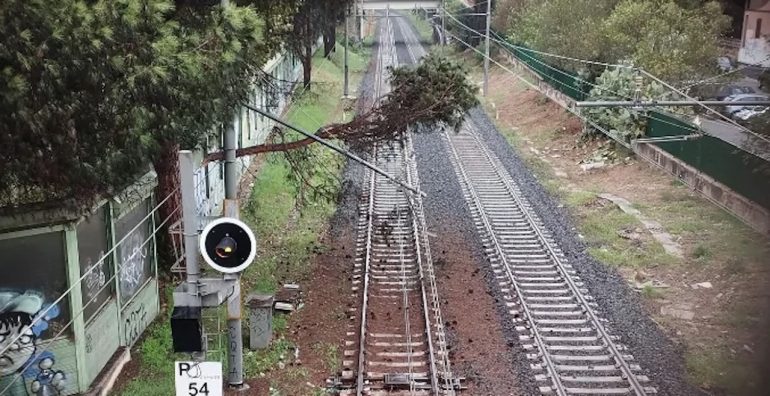 Cade albero su linea Circum, stop treni sulla linea Napoli-Baiano