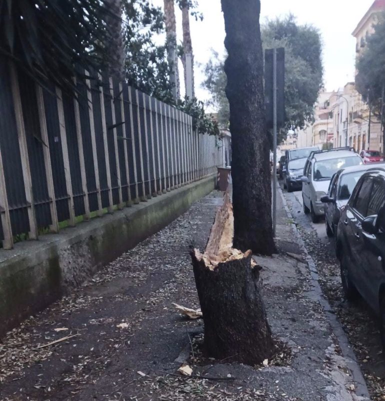 Napoli, albero si abbatte sull’ingresso della Cumana a Bagnoli