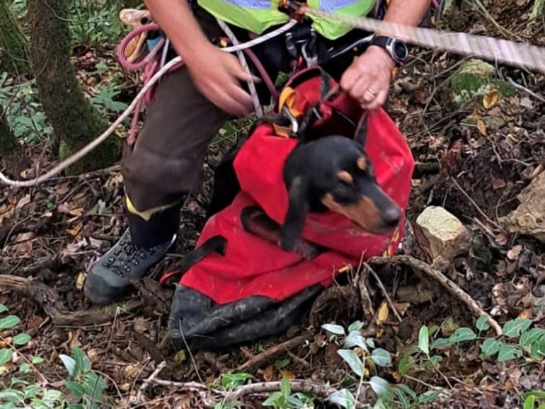Cane cade in dirupo nelle Gole del Sammaro a circa 100 metri di profondità, salvato dai vigili del fuoco