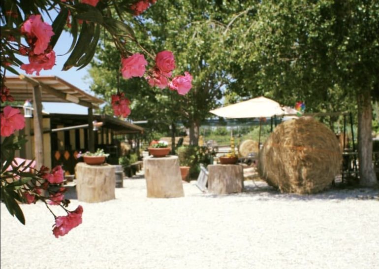 Giugliano, inchiesta sulla morte dell’allevatore ucciso dal vitello nella fattoria didattica