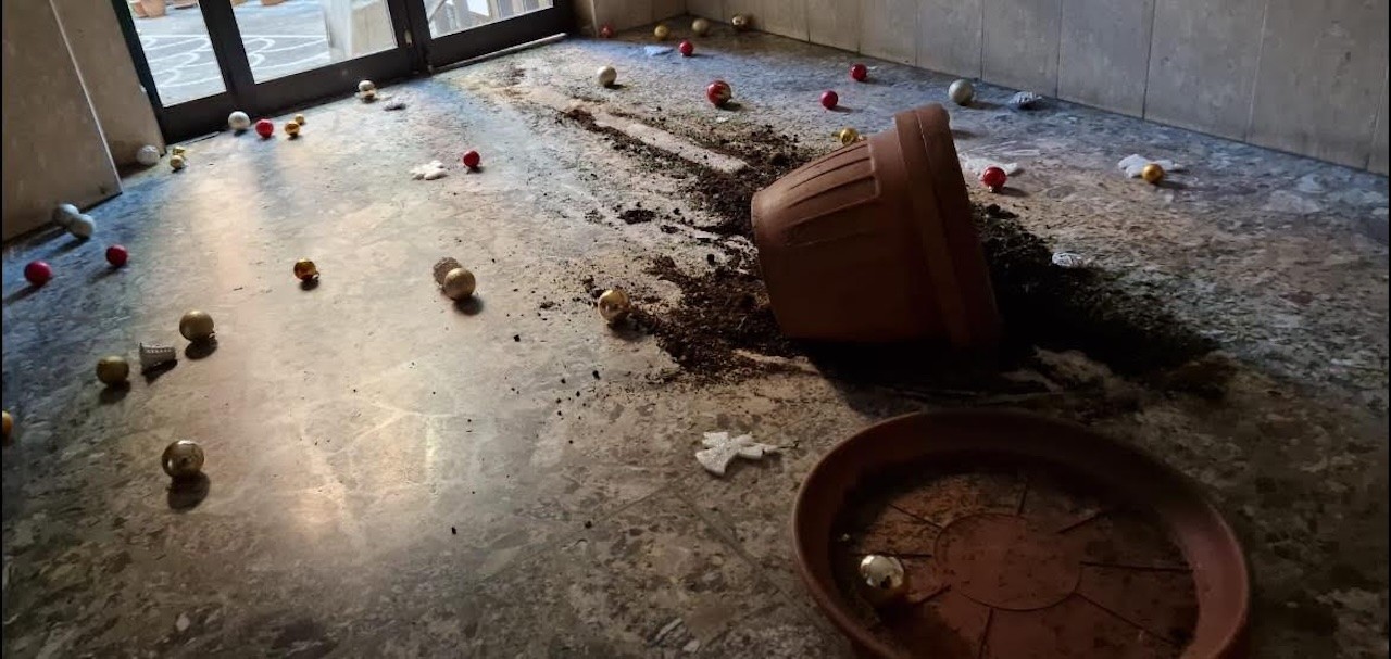 Napoli, escalation di furti di alberi di Natale: allarme baby gang in città