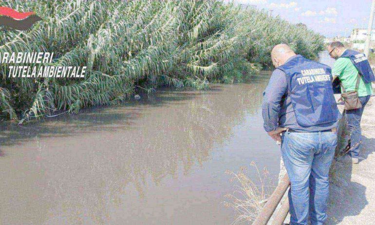 Sarno-CarabinieriNOE