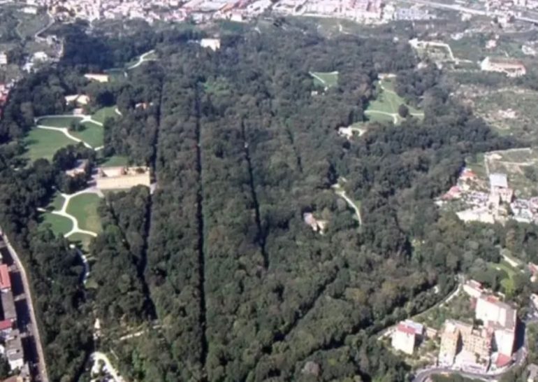 Capodimonte, potenziata stazione monitoraggio ambientale
